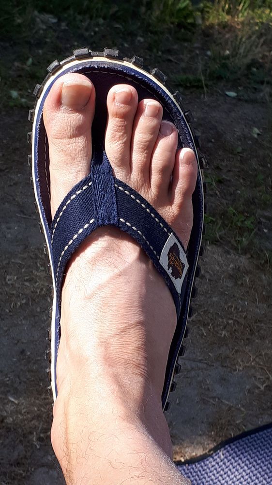 20190621_171736.jpg