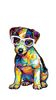 Glasses_Dogs_Jack_Russell-WALLPAPERS-Ja50fVAJkaI5cGlhMJYO.jpg
