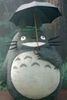 Totoro.jpg