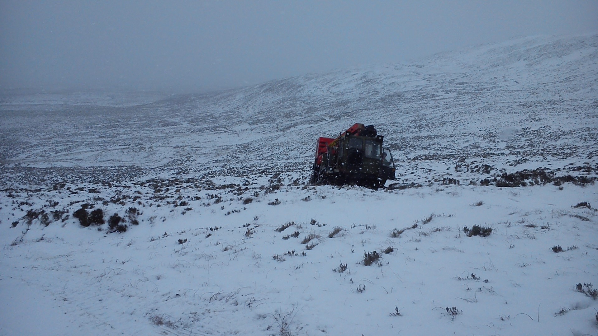 DSC_0442.jpg DSC_0442.jpg