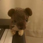 Profile (AlexBolton)