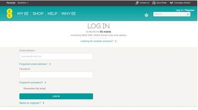 Fake login page