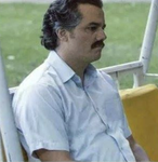 Profile (Dinkleberg)