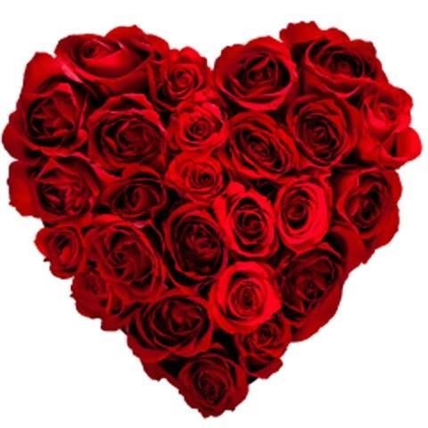 HEART  OF  ROSES.jpg