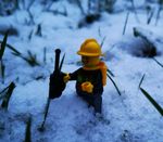 Profile (Liambiddulph)