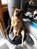 20200903_163301.jpg