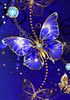 7227DDAD-E56E-4DBB-B2CF-C7EC59D64AF6.jpeg