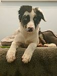 20201123_213132.jpg