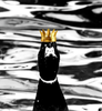 Emoji Editor 2020-12-14_10-03-42.png