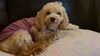 IMG-20210114-WA0014.jpeg