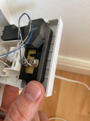 Wires to Socket Needing Filter.jpg