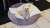 IMG-20210616-WA0002.jpeg