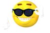 Sunglasses picture.jpg