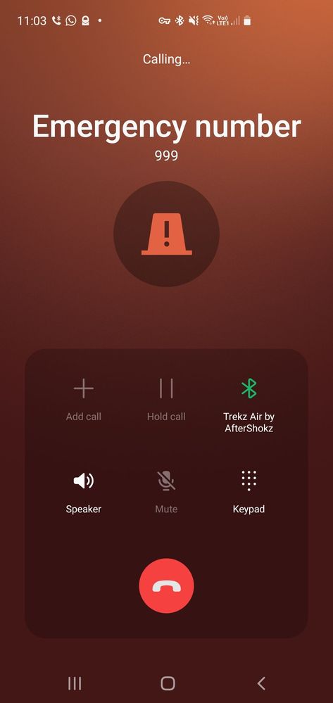 Screenshot_20211203-110319_Call.jpg