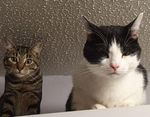 IMG_20220212_135617_036.jpg