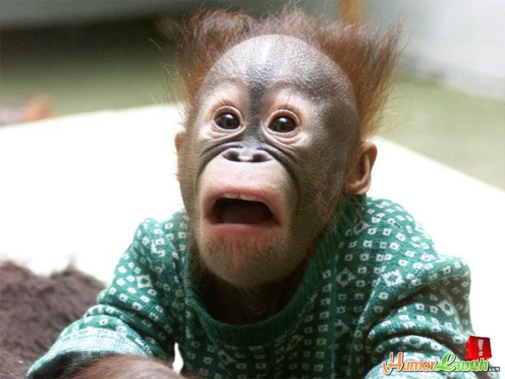 shocked face.jpg