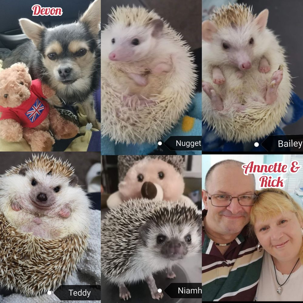 PhotoCollage_20220506_211304980.jpg