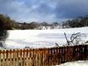 20220224_110224.jpg