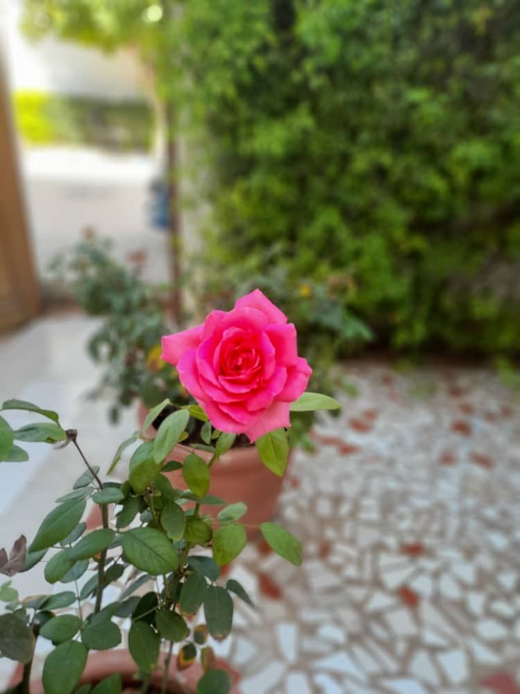 Photo from Oumou Gueye Sagna.jpg