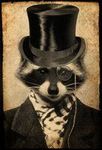 sir_raccoon_by_xmajest1cx-d60i8x6.jpg