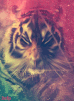 192-fierce-tiger-.gif
