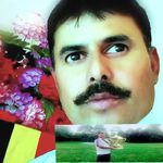 Profile (Khannaser12)