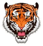 Profile (ChrisH1968)