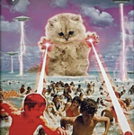 Profile (ScoobyDougaldoo)