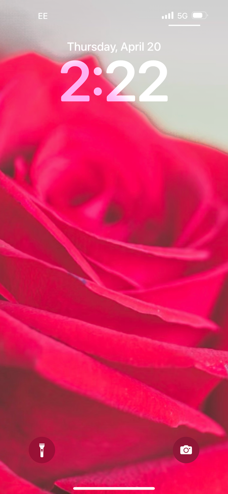 IMG_0026.png