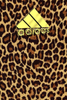 20230521_234938.png