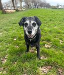 Profile (Buckysplums)