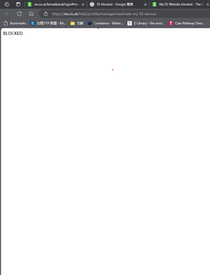 bitsym_0-1699959728308.png