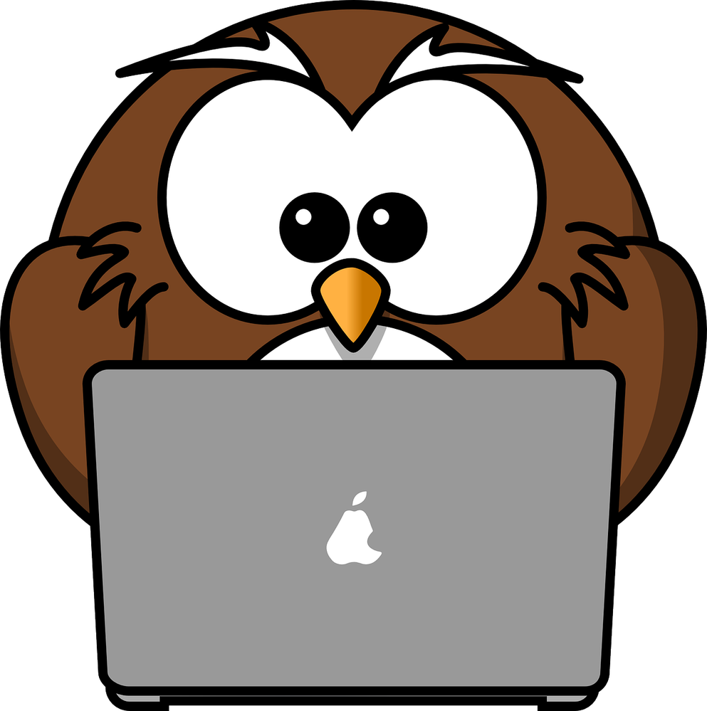 owl-g972305c30_1280.png