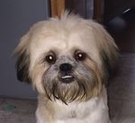 Profile (alistairmck1)