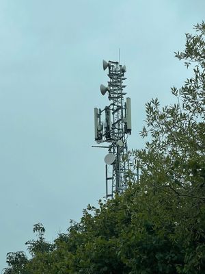 IMG_2498.jpeg