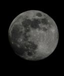 Profile (lynrichards7108)