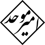 Profile (Amir_Movahed)