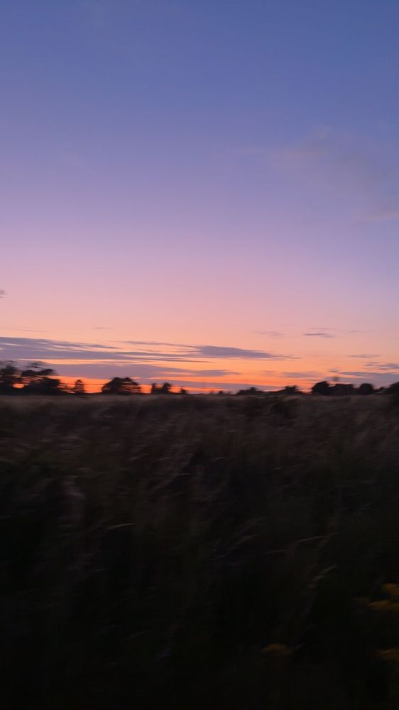 IMG_3171.jpeg