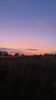 IMG_3171.jpeg