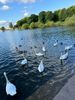 IMG_4027.jpeg