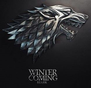 f9c35951d920083964a40d1cc1649571--game-of-thrones-tv-video-games (2).jpg