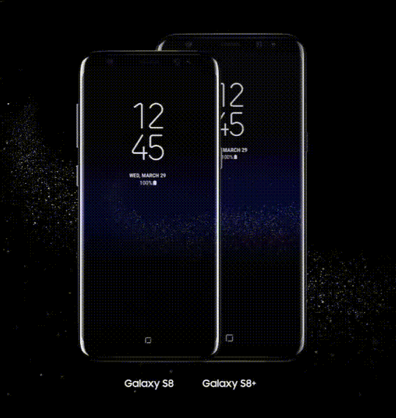 S8.gif