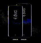 S8.gif
