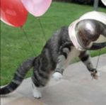 Profile (MrFahrenheit)