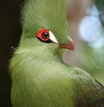 Profile (Mariettlynas)