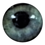 EYE.png