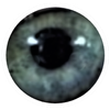 EYE.png