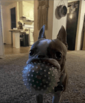 togif.gif
