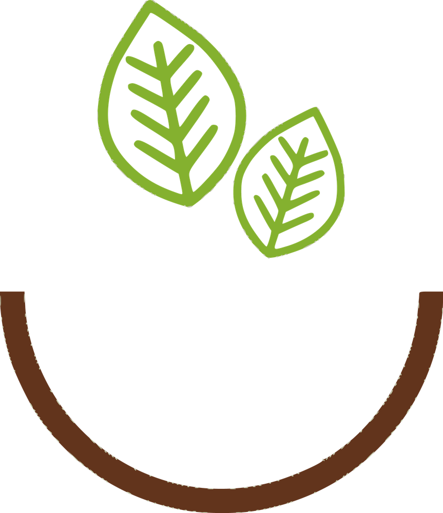 logo tju sin letras sin fondo.png