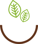 logo tju sin letras sin fondo.png